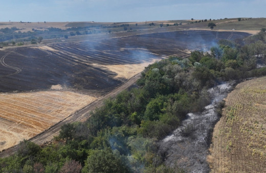 Edirne'de anızda başlayan yangın ağaçlık alana sıçramıştı! Yangın söndürüldü...