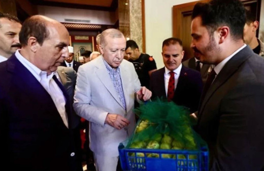 Cumhurbaşkanı Erdoğan, Okluk’ta incir dağıttı