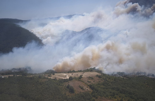 Kocaeli'de orman yangını çıktı! Dumanlar Bursa'ya ulaştı , gökyüzü puslandı