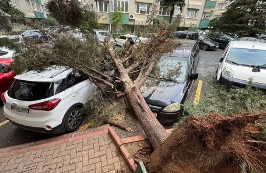 İstanbul'da fırtına ağaçları söktü! 2 kişi yaralandı, 2 araç hasar gördü...