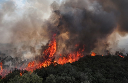 Çanakkale'deki orman yangını! Bakan Yumaklı son durumu açıkladı