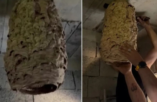 Mahalleli merak etti! Metruk evden çıkan dehşete düşürdü...