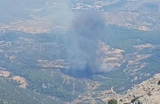 Yerleşim yerleri tehlikede! Muğla'da orman yanıyor...