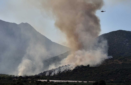 Adana ve Muğla’daki orman yangınları kontrol altına alındı