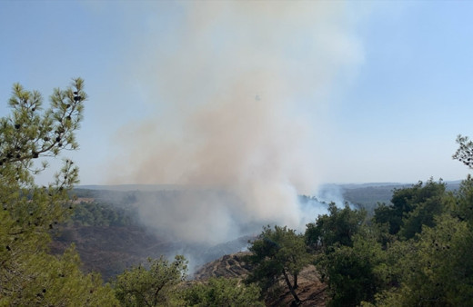 Adana'nın Sarıçam ilçesinde orman yangını! Müdahale ediliyor