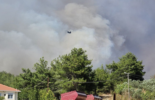 Çanakkale ve İzmir'de yangın çıktı! Tarım alanında başladı ormana sıçradı, dumandan göz gözü görmüyor