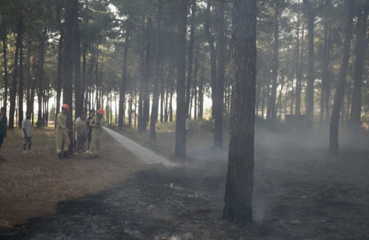 Fethiye’de orman yangını kısa sürede söndürüldü