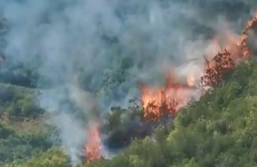 Sarıyer'de korku dolu anlar! Ormanlık alanda çıkan yangına müdahale ediliyor
