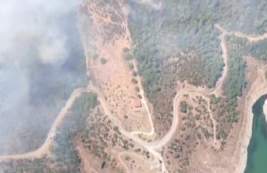 İzmir'de orman yangını çıktı!