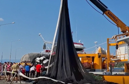 Sinop'ta balıkçılar heyecanlı! "Vira bismillah" demek için gün sayıyorlar...