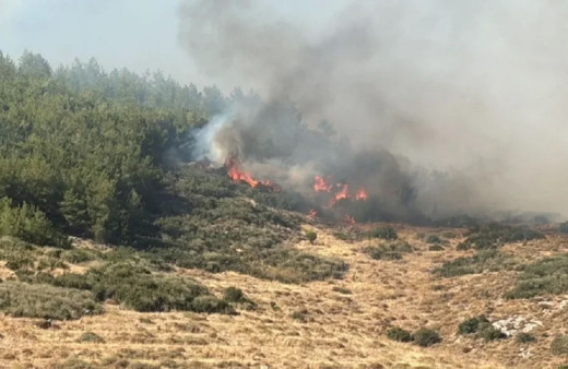 Hatay Antakya'da korkunç anlar! Orman yangını çıktı