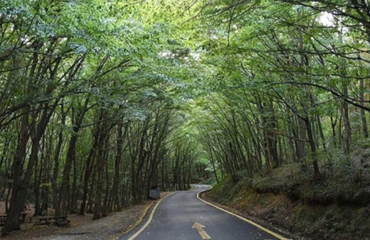 O ilimizde ormanlara giriş yasağı süresi uzatıldı