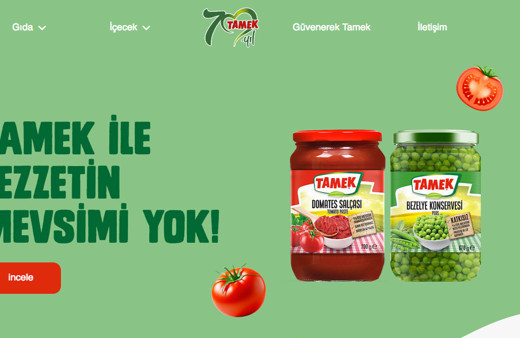 Tamek yenilenen internet sitesi ile iki ödül kazandı