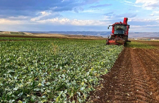 Çiftçilere 772 milyon lira destek ödemesi başladı