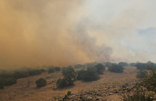Balıkesir'de çıkan orman yangınına müdahale ediliyor
