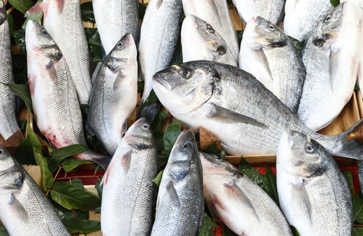 Balık sezonunun açılmasıyla tezgahlar doldu! Fiyatlar cep yakıyor