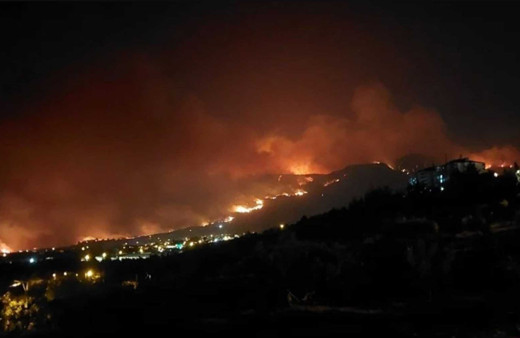 Denizli'deki orman yangınına müdahale sürüyor! 2 mahalle boşaltıldı
