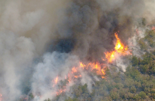 Karabük'te başlayan yangın Kastamonu'ya ulaştı! İkinci bir yangın daha çıktı, durum çok fena