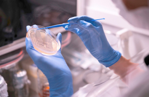 Orzaks’ın üretim gücü Nuvita İlaç, Ar-Ge yatırımıyla Türkiye’nin ilk 250 firması arasında