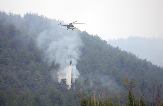 Karabük ve Kastamonu'daki orman yangınları büyük ölçüde kontrol altına alındı