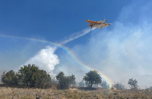 Çanakkale'de orman yangını kontrol altına alındı...
