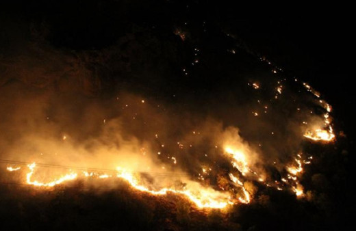 Hakkari'de ormanlık alanda çıkan yangına müdahale sürüyor