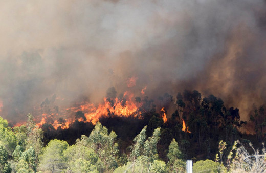 Valilik yeni kararı duyurdu: Satışı ve kullanımı yasaklandı