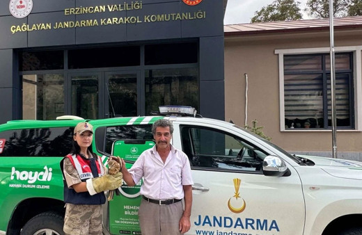 Erzincan’da bulunan şahin yavrusu koruma altına alındı