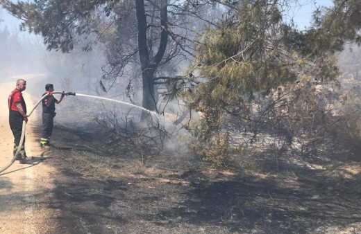 Adana'da orman yangını kontrol altında! Soğutma çalışmaları sürüyor...