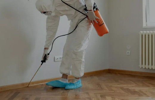 Örümcek kabusundan kurtulmak isteyenler dikkat!