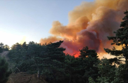 Adana'daki orman yangını kontrol altına alındı