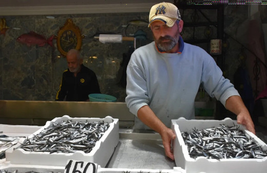 Trabzon'da hamsi ve istavrit fiyatı belli oldu