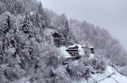 Doğu Karadeniz karlar içinde kaldı! O şehirler bembeyaz oldu
