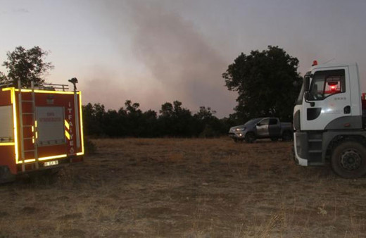 Konya'daki orman yangını kontrol altına alındı