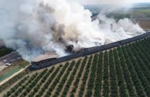 Yürekler ağza geldi! Adana'da çırçır fabrikasının deposu yandı