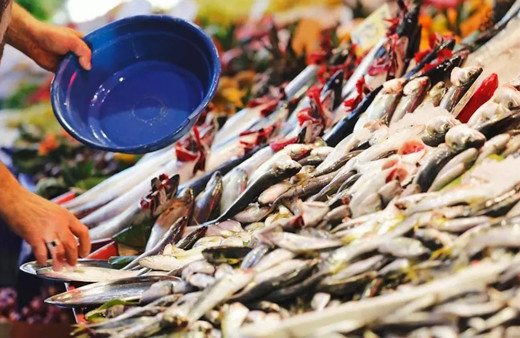 Balık tüketicisini korkutan açıklama! Hamsi, palamut, lüfer hangisi daha vahim?