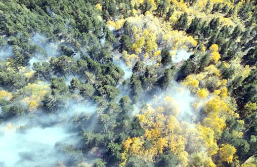 Sarıkamış'ta orman yangını 1,5 hektar alana zarar verdi!