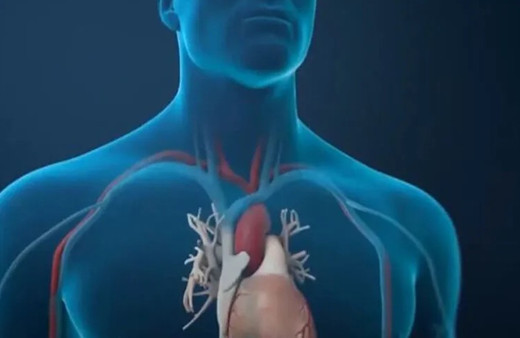 Tromboz ve damar tıkanıklığı riski artıyor! Bu hastalıklar insan yaşamı için büyük tehdit