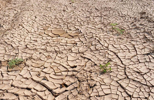 İstanbul'da son 65 yılın en kurak yazı yaşandı! Böyle giderse durum kötü