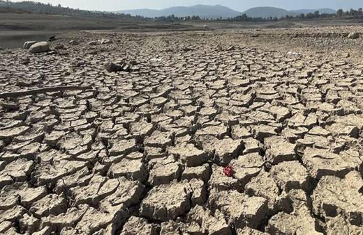 Korkutan veriler! Son 52 yılın en düşük seviyesi görüldü
