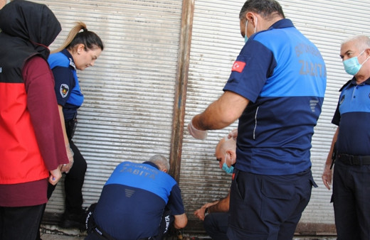 Zabıta ekipleri denetimde yakaladı! 1 Ton bozulmuş et imha edildi