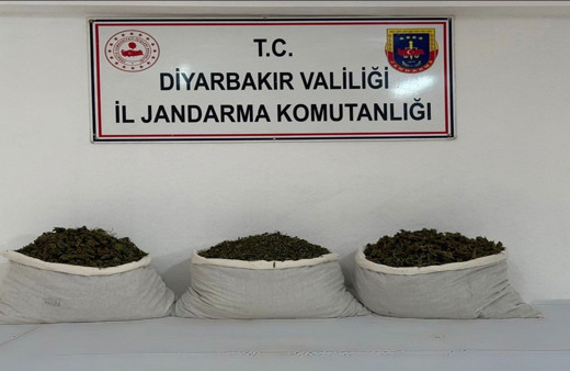 Diyarbakır'da uyuşturucu operasyonlarında 15 kilogram skunk ele geçirildi