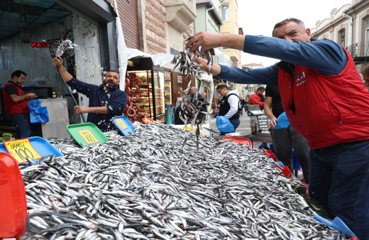 Karadeniz'de hamsi bolluğu tezgahlara yansıdı