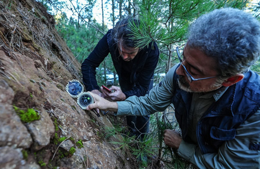 Ölü faylar canlandı Sındırgı için yeni uyarı geldi! Hasan Sözbilir: Bir büyük deprem daha bekleniyor