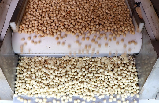 Ferrero Türkiye'den fındık alımını durdurdu Rekabet Kurumu'ndan açıklama