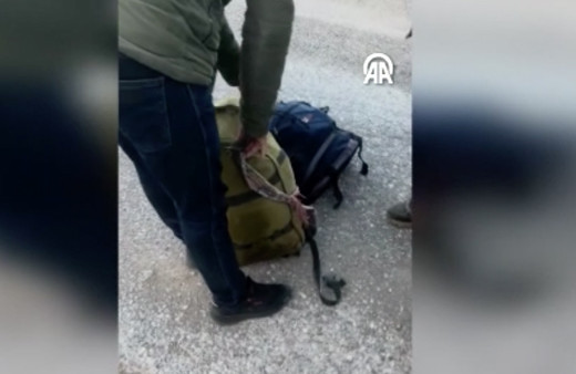 İki yaban keçisini öldürdüler! Bakın ne kadar ceza kesildi