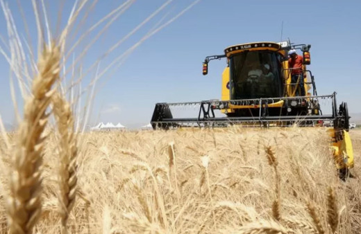 Türkiye'nin hububat, bakliyat, yağlı tohumlar ihracatı 10 ayda 10 milyar doları aştı