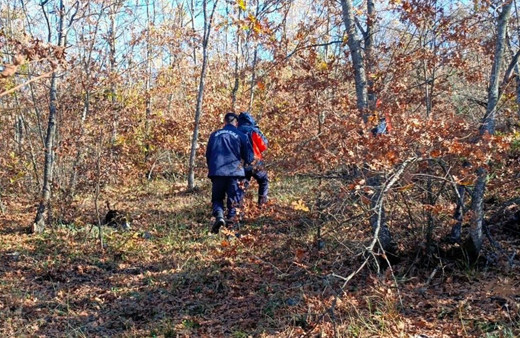 Mantar toplamaya gitti kayboldu! 96 kişilik ekip İsmail Kara'yı arıyor