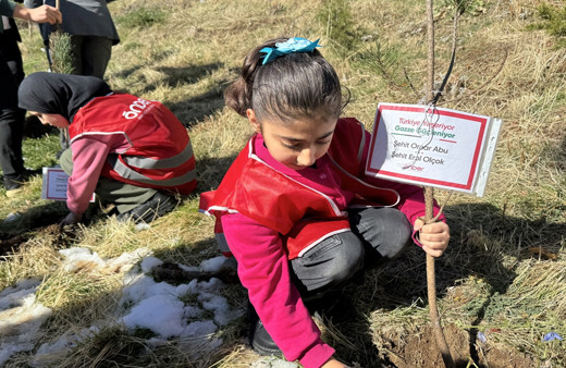 Hakkari'de Türkiye ve Gazze'deki şehitler anısına fidan dikildi