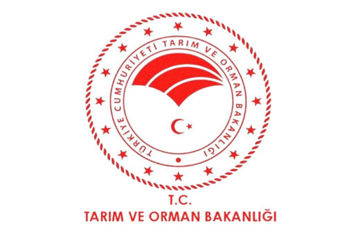 Orman Genel Müdürlüğünün 496 sözleşmeli personel alımına ilişkin detaylar belli oldu